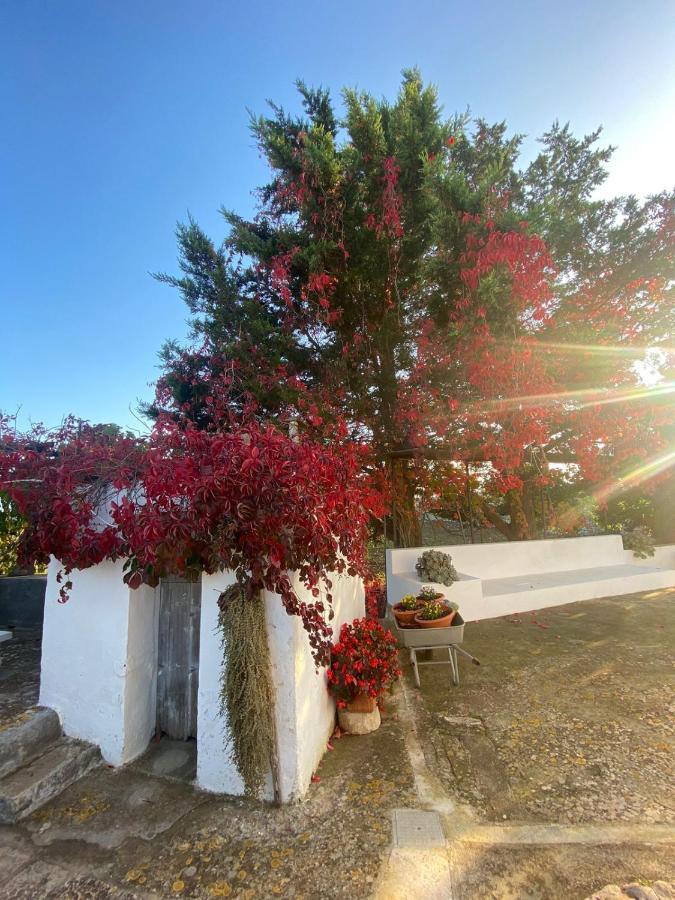 Trulli Demetra Villa Martina Franca Exterior photo